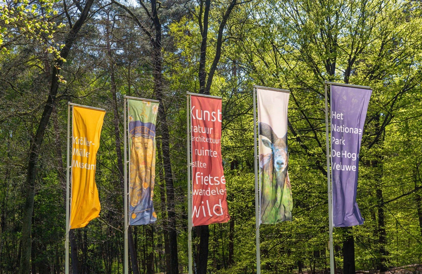 Nationaal park de hoge veluwe en kroller muller